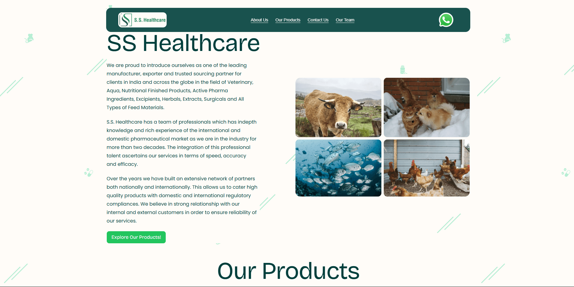 SS Healthcare preview