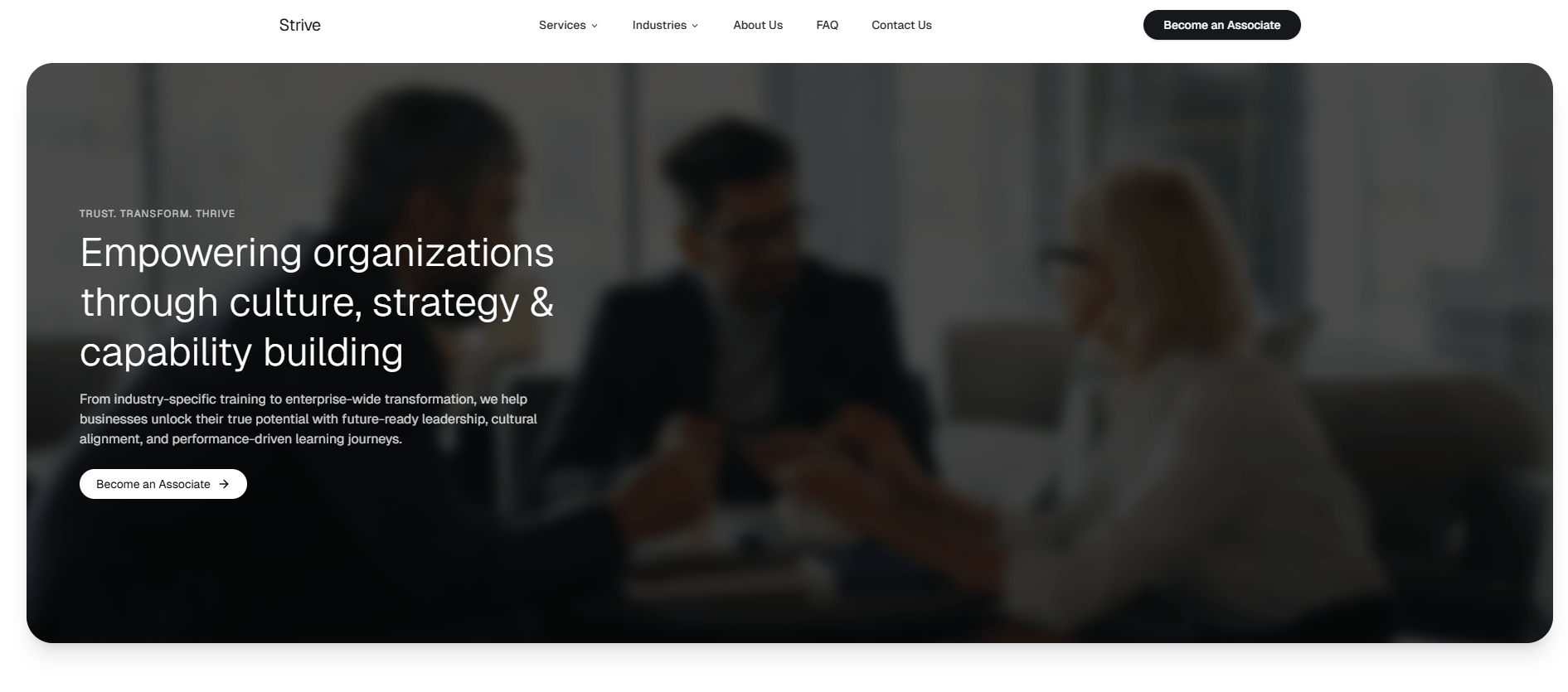 Strive Consultancy preview